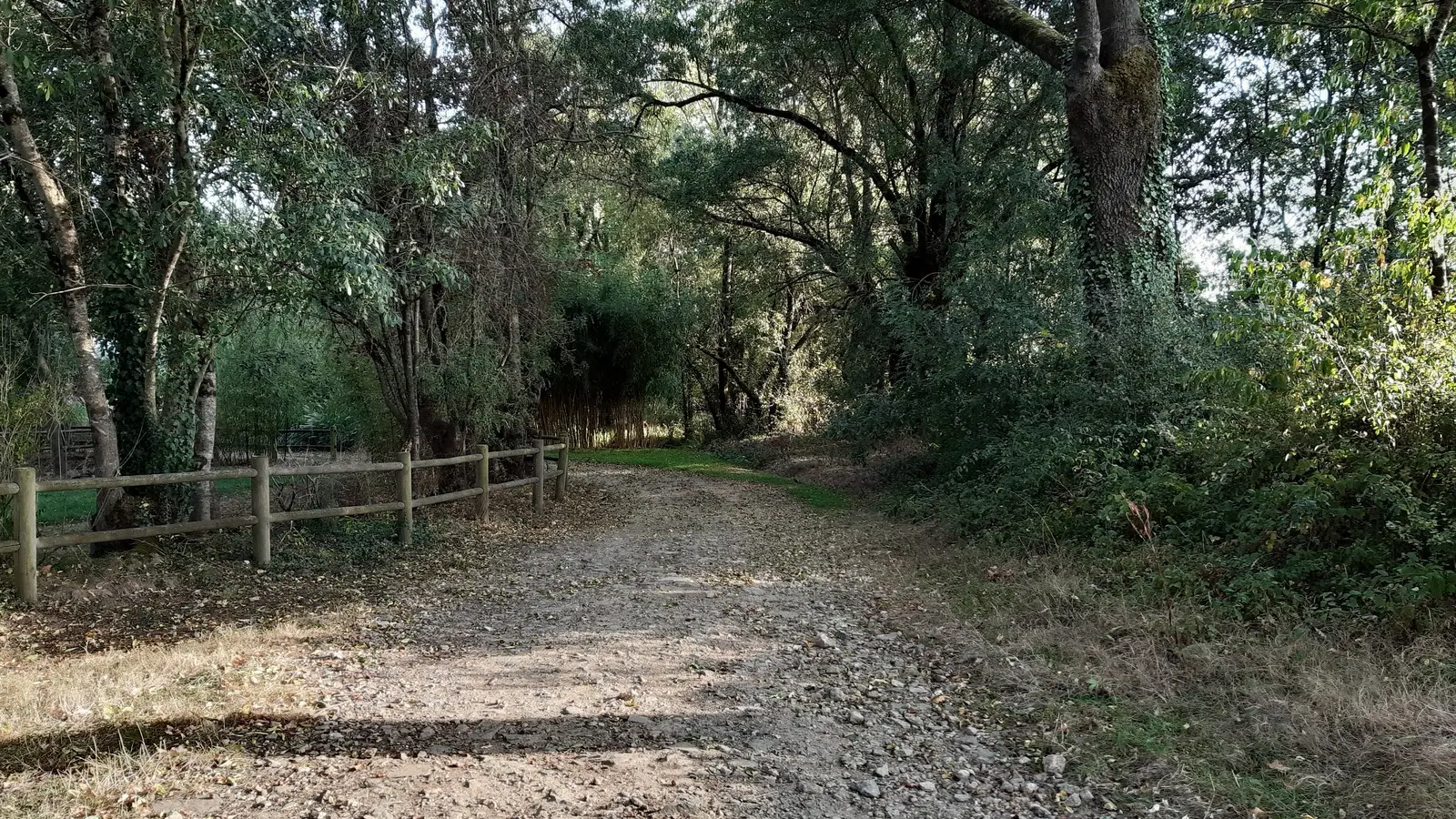 boucle de la sevre a la moine clisson (1)