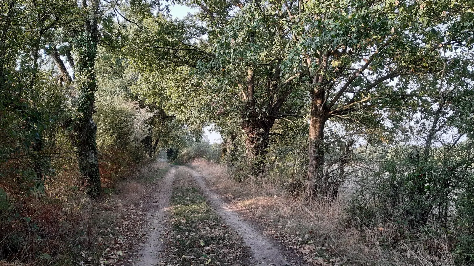 boucle de la sevre a la moine clisson (2)