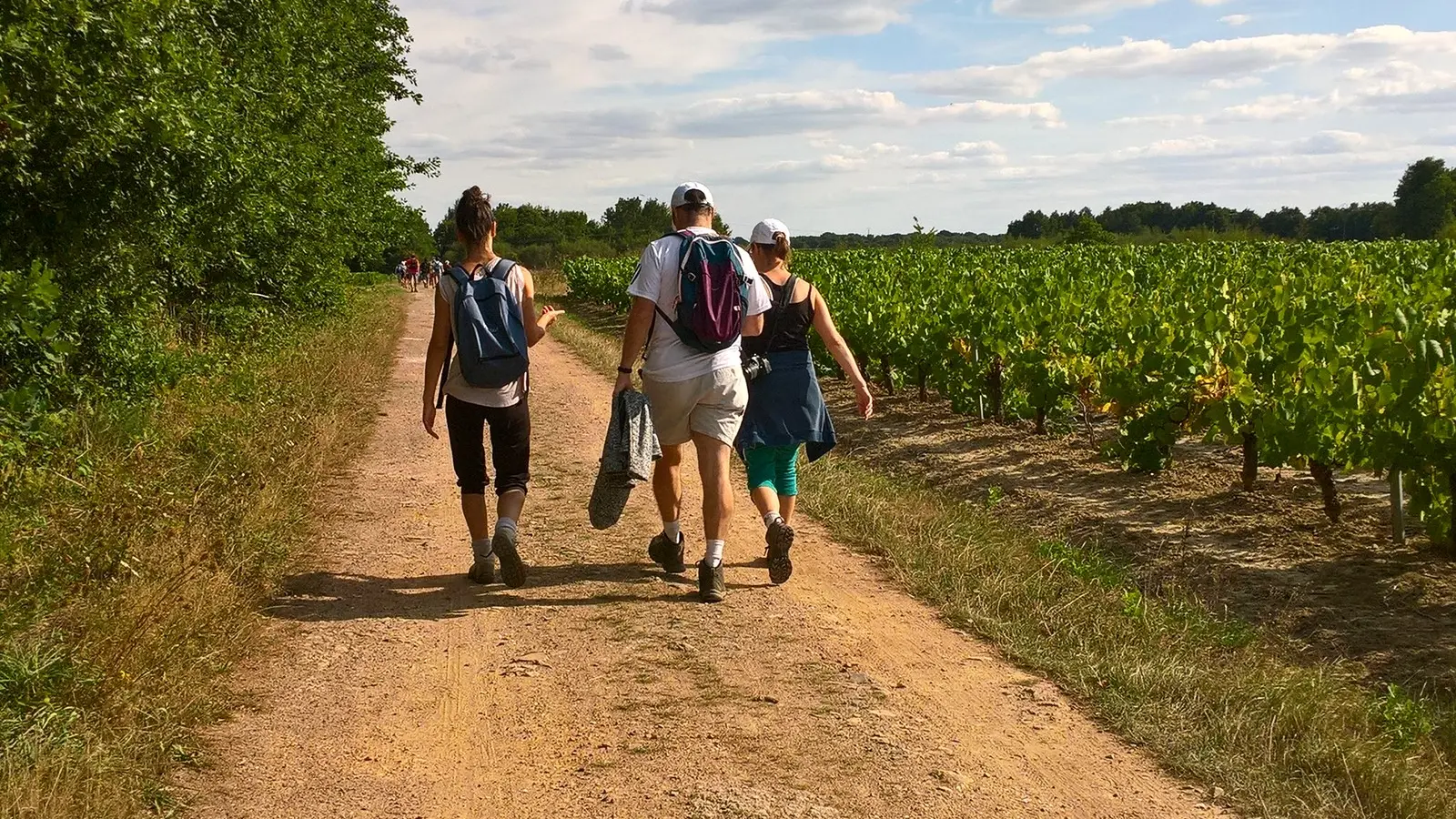 boucle pont caffino maisdon sur sevre (2)