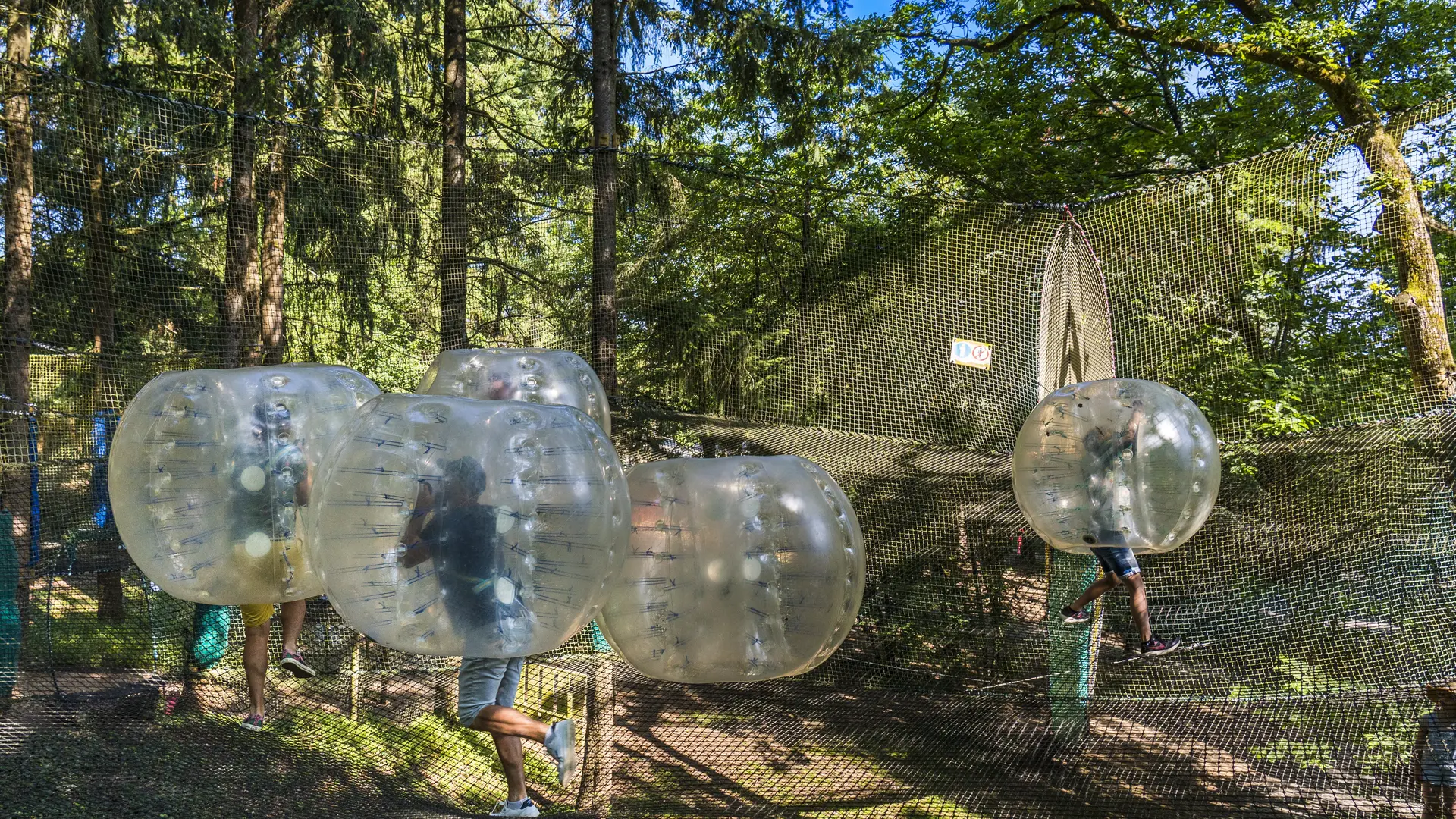 Attractions_Bubble filets