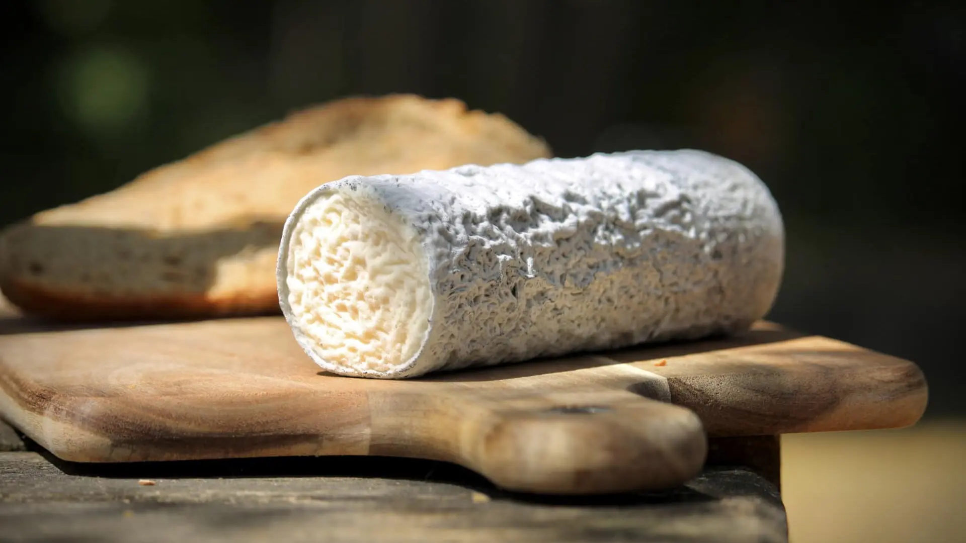 buche cendré