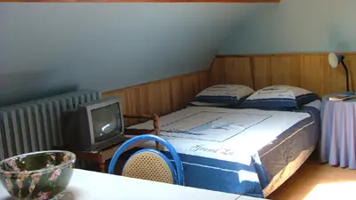 chez-mme-perraud-chambre-d-hotes-en-briere-728