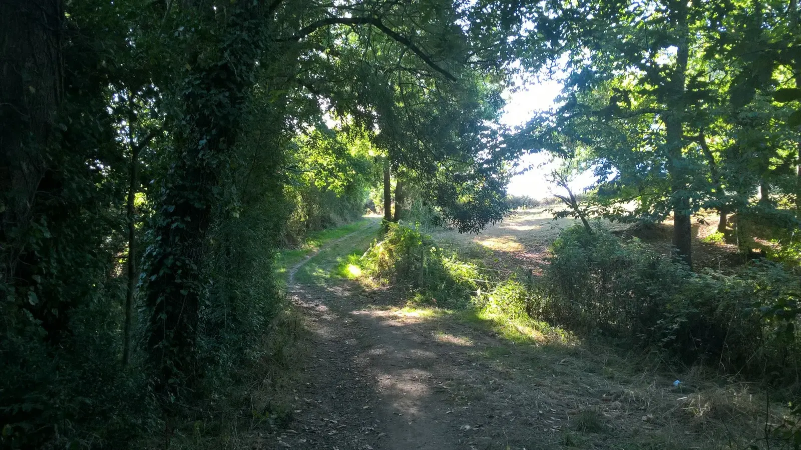 chemin--circuitdeshorizons-lelorouxbottereau-44-levignobledenantes-2