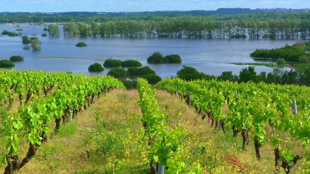 Circuit les moulins et l'ouen - butte de la roche