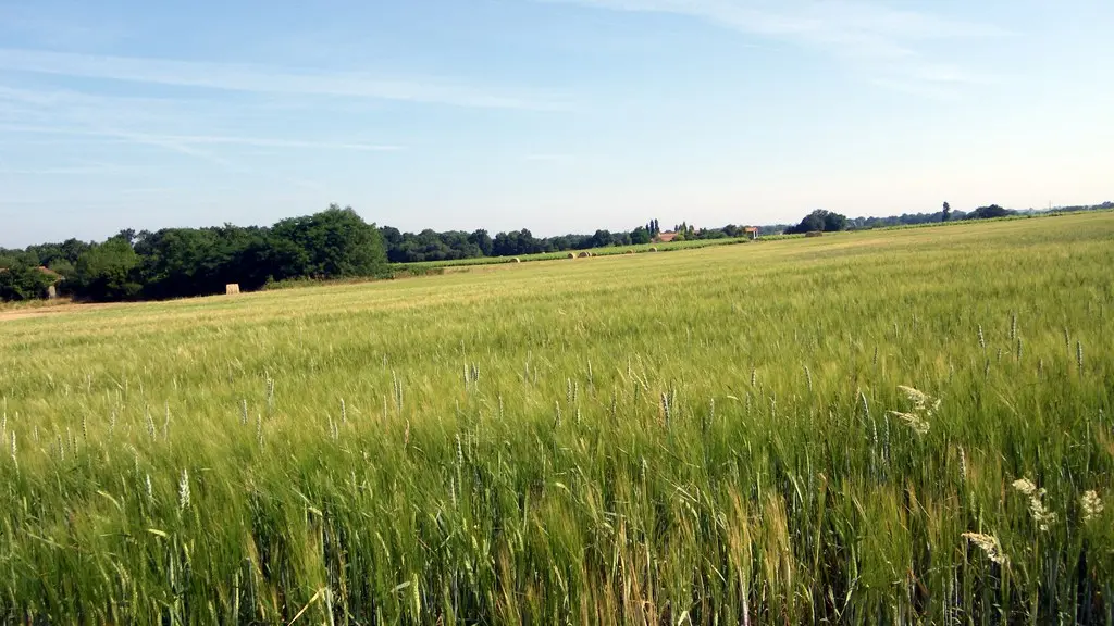 circuit-agrion-chapelle-heulin-levignobledenantes-tourisme(2) [1024x768]