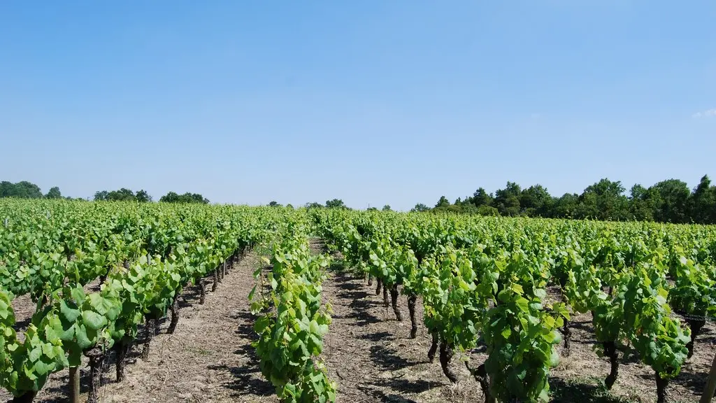 circuit-agrion-chapelle-heulin-levignobledenantes-tourisme(3) [1024x768]