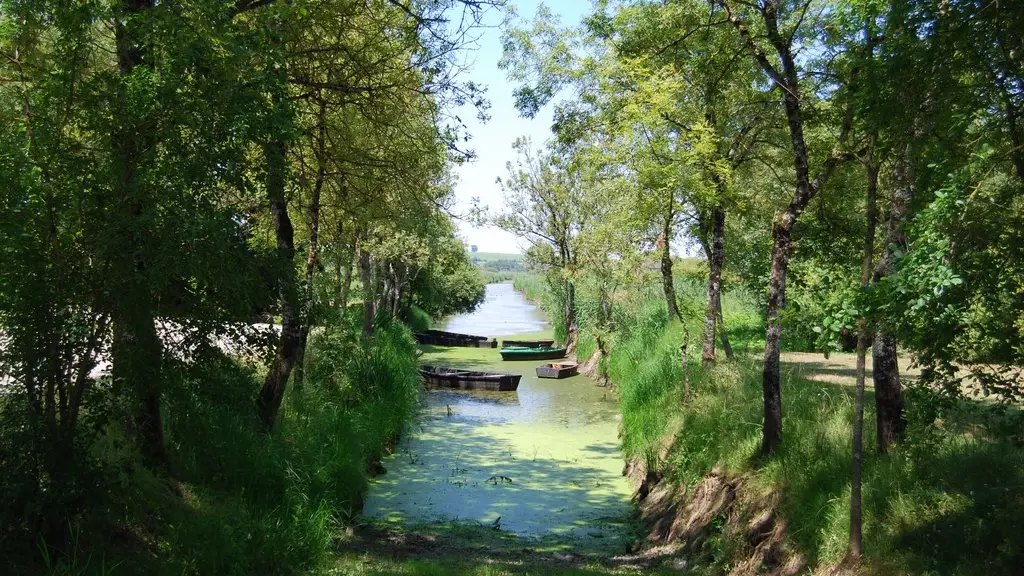 circuit-agrion-chapelle-heulin-levignobledenantes-tourisme(5) [1024x768]