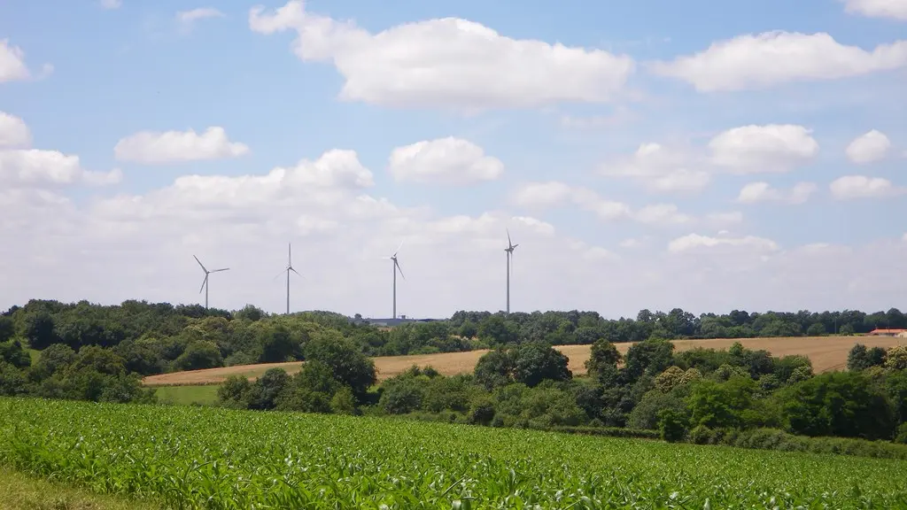 circuit-buissonnier-laboissieredore-levignoblenantes-tourisme (4)