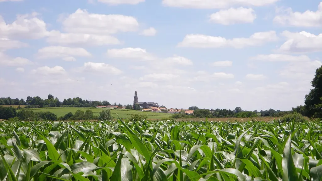 circuit-buissonnier-laboissieredore-levignoblenantes-tourisme (5)