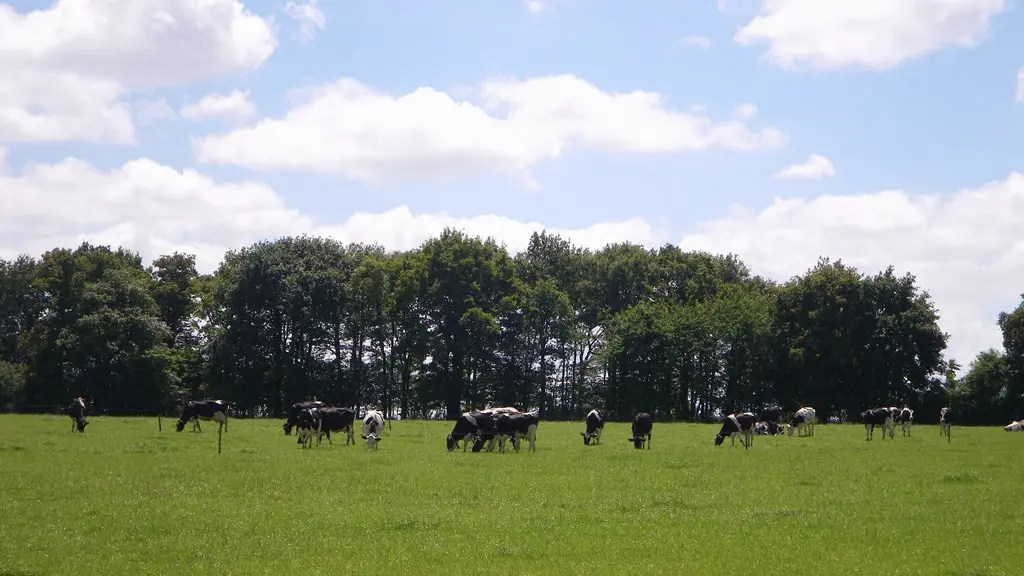 circuit-buissonnier-laboissieredore-levignoblenantes-tourisme (6)