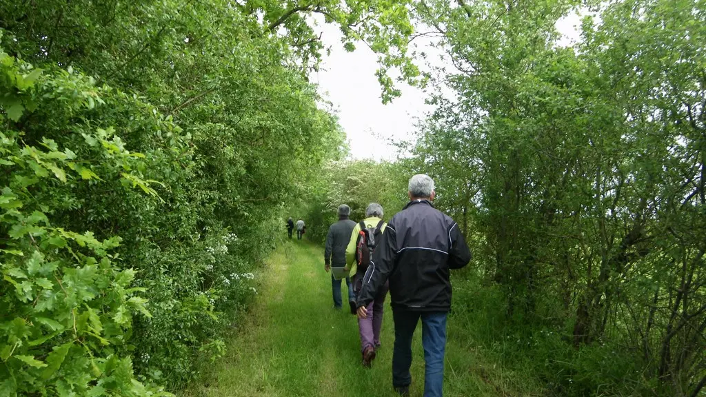 circuit-buissonnier-laboissieredore-levignoblenantes-tourisme (7)