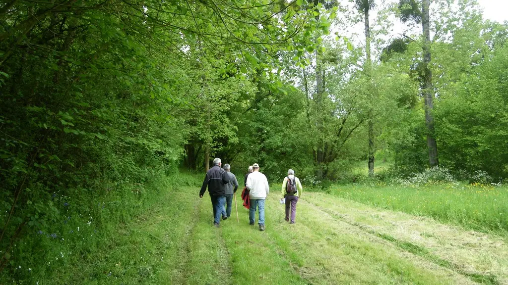 circuit-buissonnier-laboissieredore-levignoblenantes-tourisme (8)