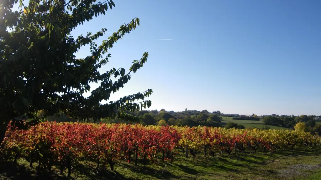 circuit-berriere-barbechat-levignoblenantes-tourisme (5)