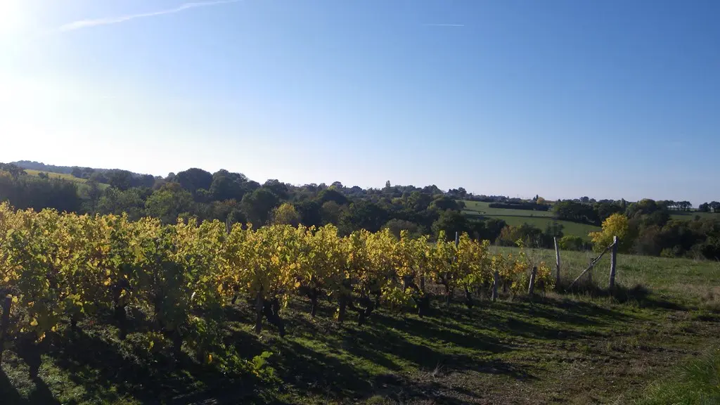 circuit-berriere-barbechat-levignoblenantes-tourisme (6)