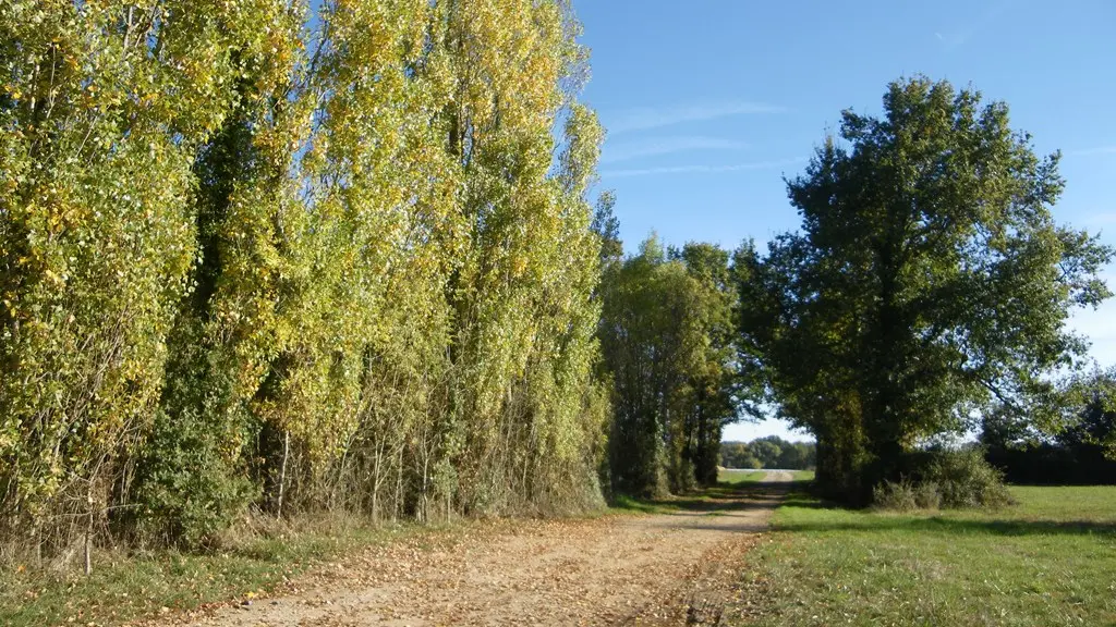 circuit-berriere-barbechat-levignoblenantes-tourisme (1)