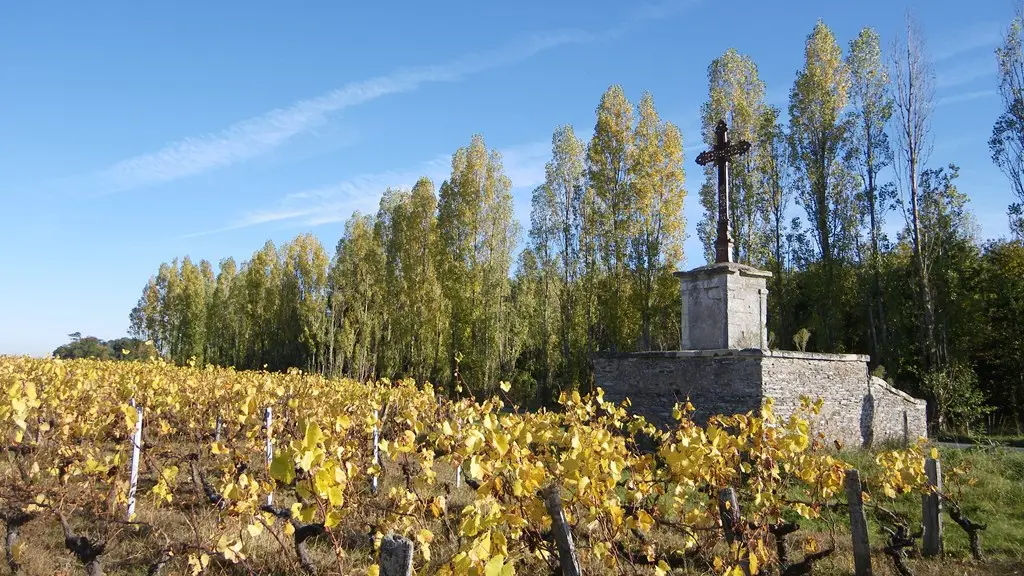 circuit-berriere-barbechat-levignoblenantes-tourisme (3)