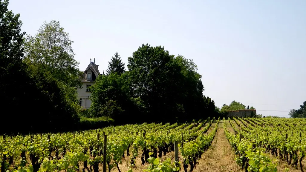 circuit-boucle-pedestre-vigners-en-villages-la-haye-fouassiere-44-ITI  (4)