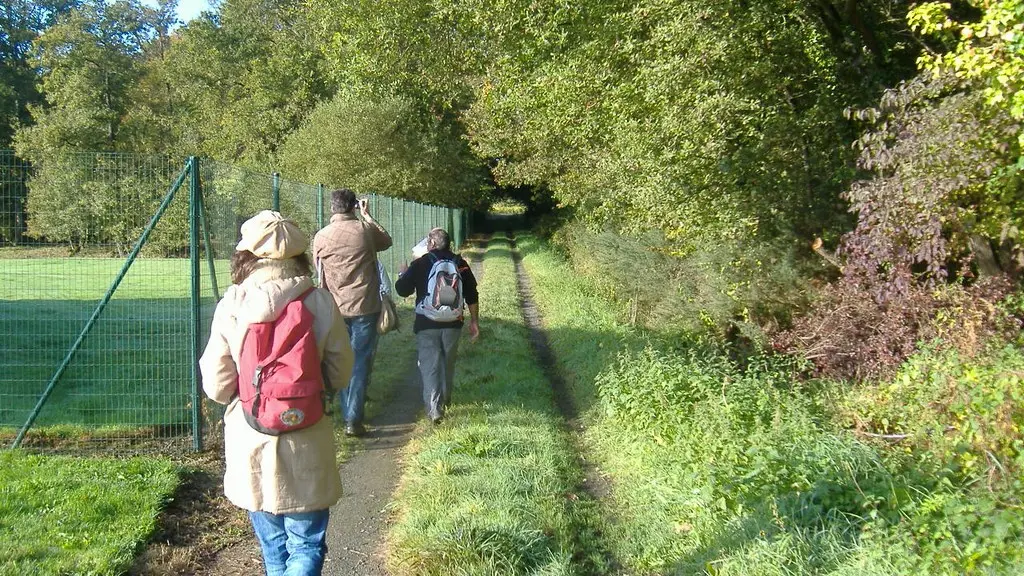 circuit-boucle-pedestre-vigners-en-villages-la-haye-fouassiere-44-ITI  (5)