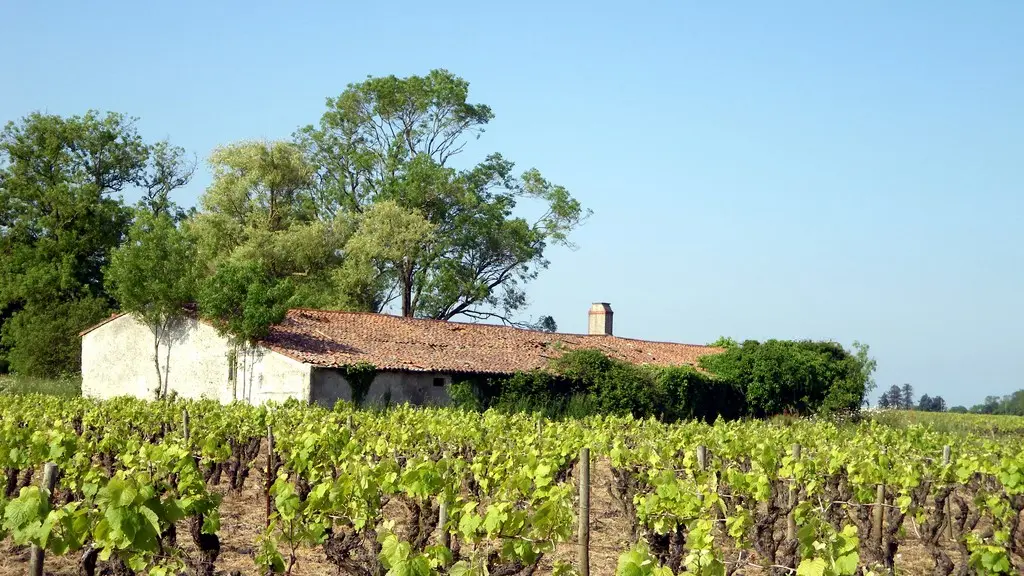 circuit-boucle-pedestre-vigners-en-villages-la-haye-fouassiere-44-ITI  (6)