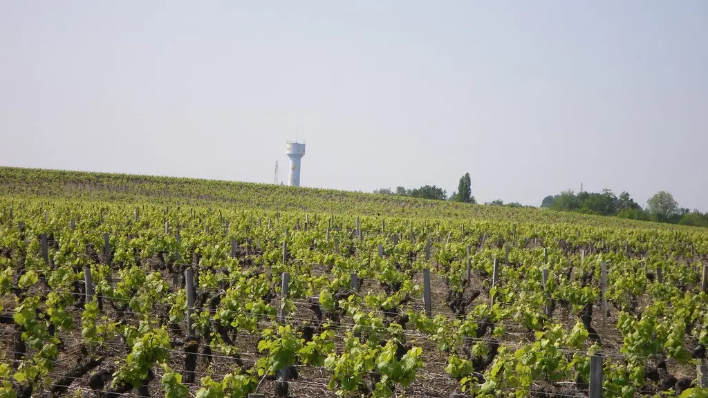 circuit-boucle-pedestre-vigners-en-villages-la-haye-fouassiere-44-ITI  (3)