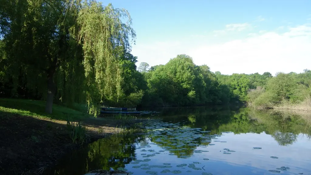 circuit-boucle-pedestre-vignes-et-rivieres-maisdon-sur-sevre-44-ITI  (2)