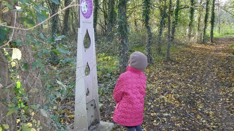 circuit-boucle-pedestre-vignes-et-rivieres-maisdon-sur-sevre-44-ITI  (3)