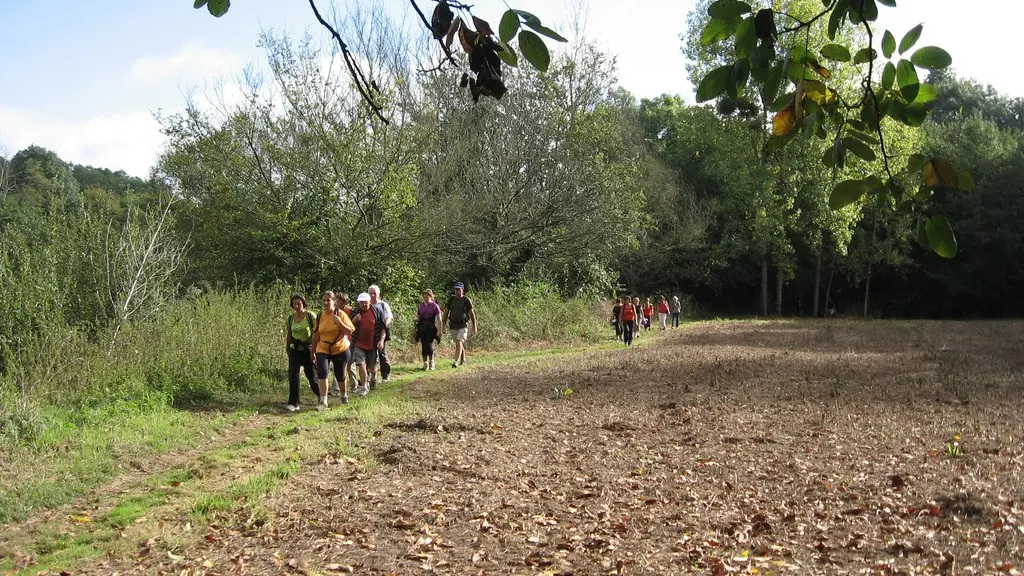 circuit-boucle-pedestre-vignes-et-rivieres-maisdon-sur-sevre-44-ITI  (4)
