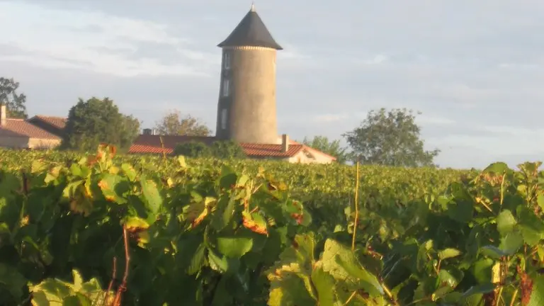 circuit-boucle-pedestre-bois-joli-chateau-thebaud-44-ITI (1)