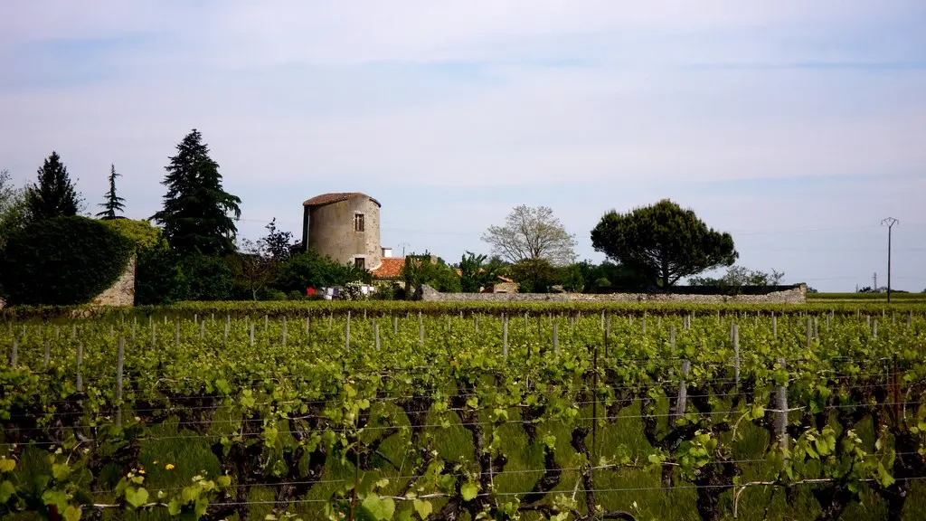 circuit-boucle-pedestre-bois-joli-chateau-thebaud-44-ITI (2)