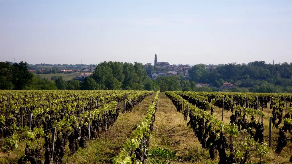 circuit-boucle-pedestre-bois-joli-chateau-thebaud-44-ITI (4)