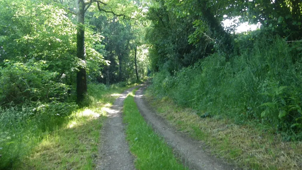 circuit-boucle-pedestre-fleurancellerie-la-regrippiere-44-ITI (5)