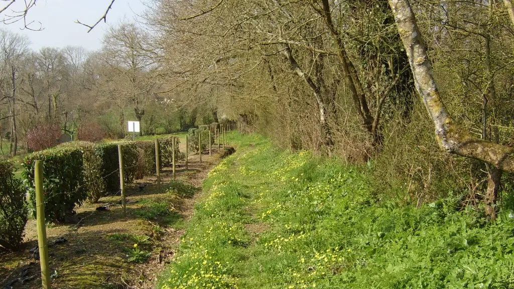 circuit-boucle-pedestre-fleurancellerie-la-regrippiere-44-ITI (6)