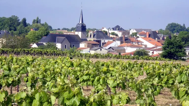 circuit-boucle-pedestre-fleurancellerie-la-regrippiere-44-ITI (7)