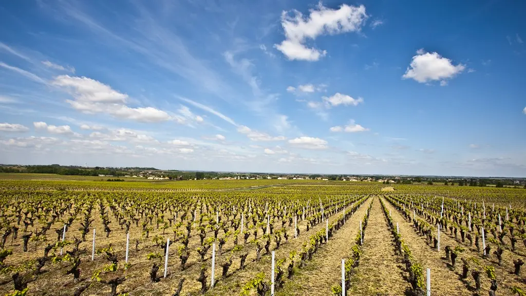 circuit-boucle-pedestre-moulins-monnieres-44-ITI  (6)