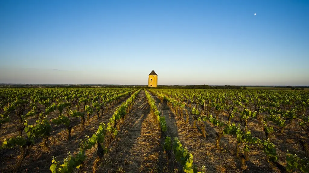 circuit-boucle-pedestre-moulins-monnieres-44-ITI  (3)