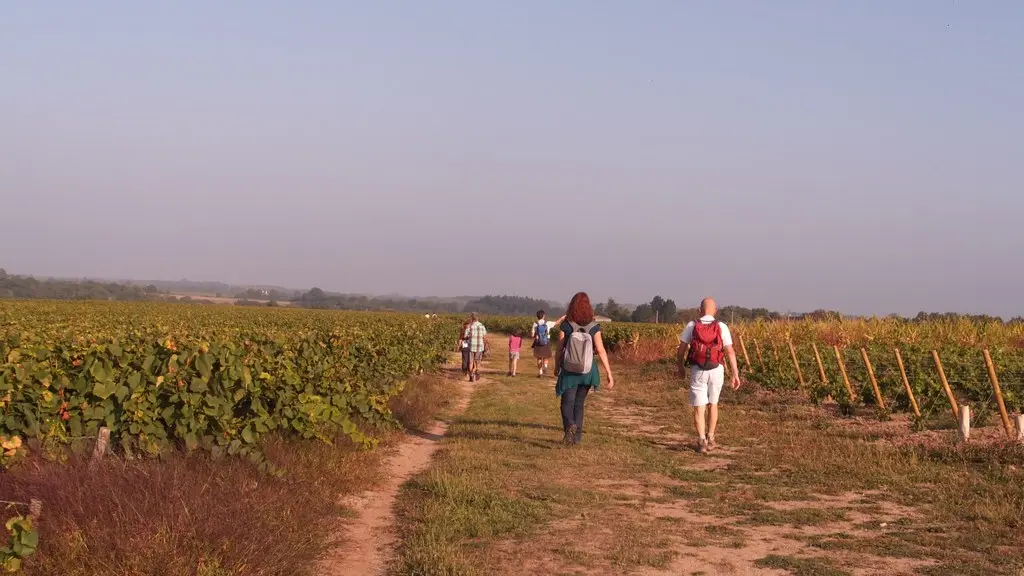 circuit-boucle-pedestre-soif-de-nature-maisdon-sur-sevre-44-ITI (2)