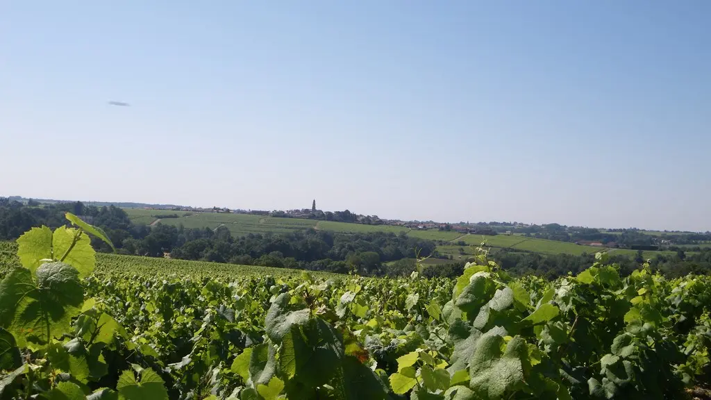 circuit boucle sevre et coteaux