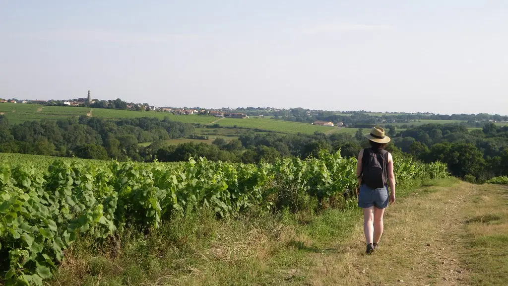 circuit-boucle-sevre-coteaux-la-haye-fouassiere-44-ITI (3)