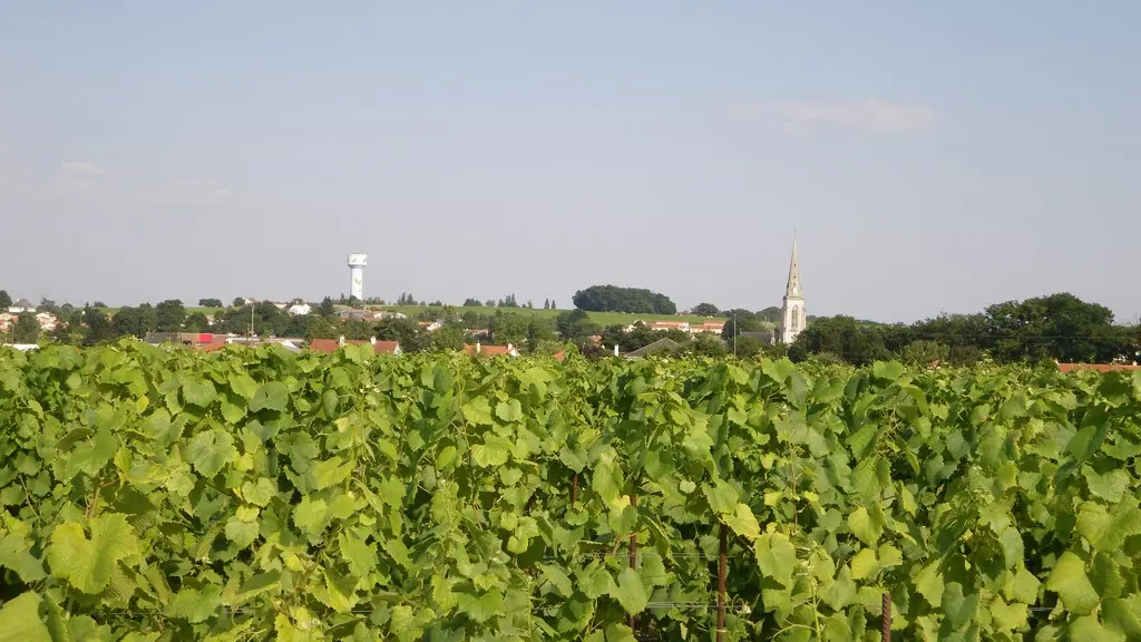 circuit boucle sevre et coteaux