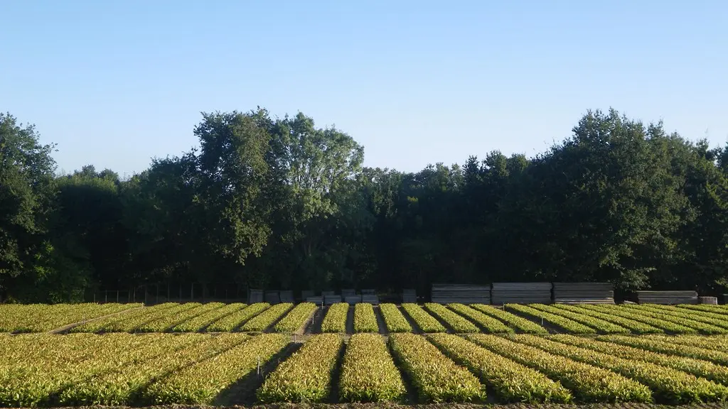 circuit-chateau-hte-goulaine-levignoblenantes-tourisme (2)