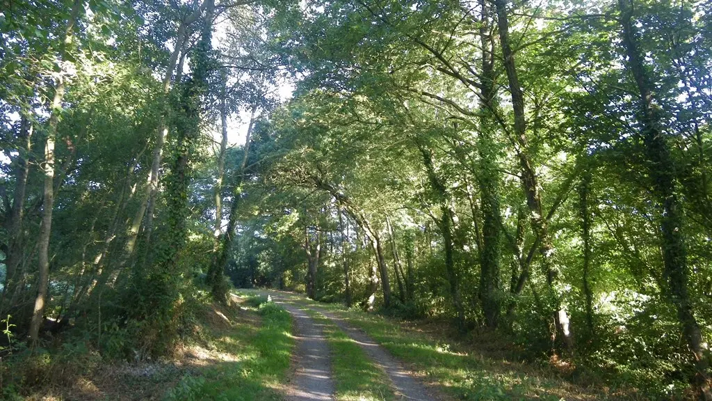 circuit-chateau-hte-goulaine-levignoblenantes-tourisme (4)