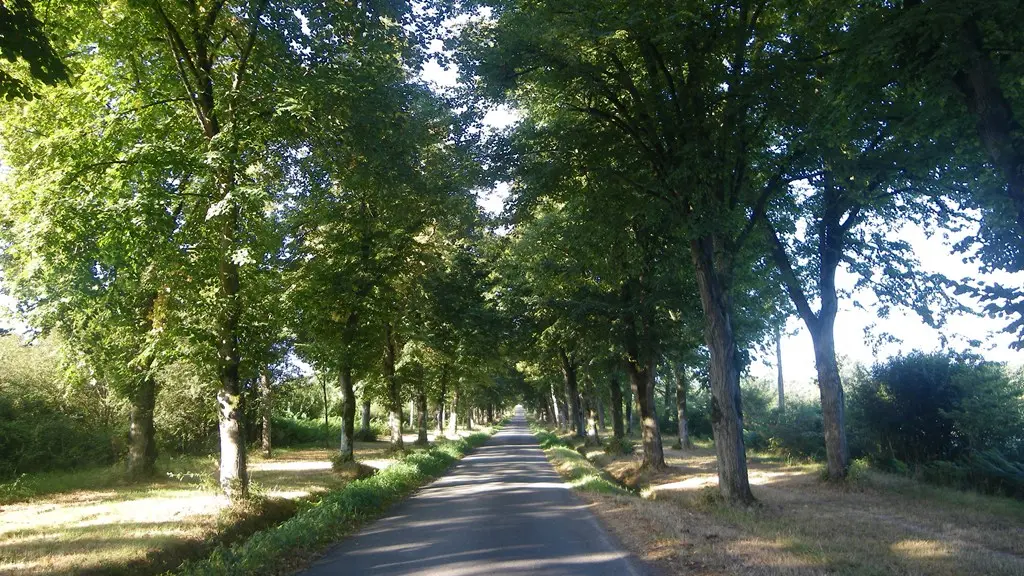 circuit-chateau-hte-goulaine-levignoblenantes-tourisme (6)