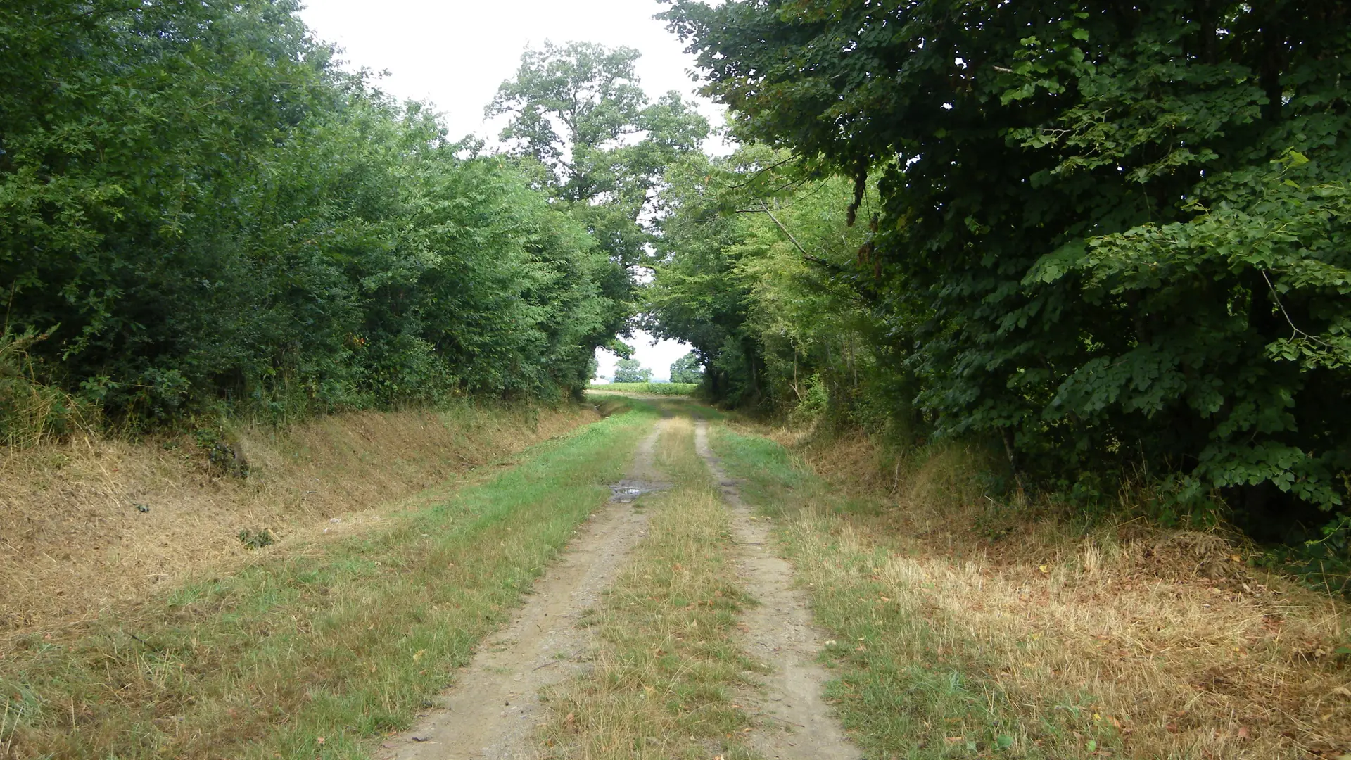 circuit-chateau-noe-vallet-levignobledenantes-tourisme(5)