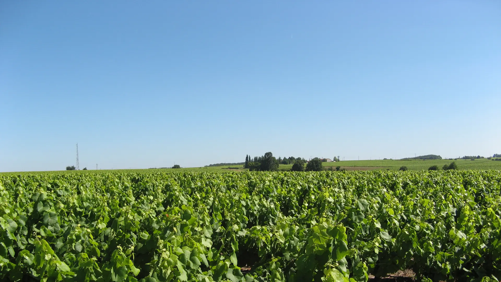 circuit-chateau-noe-vallet-levignobledenantes-tourisme