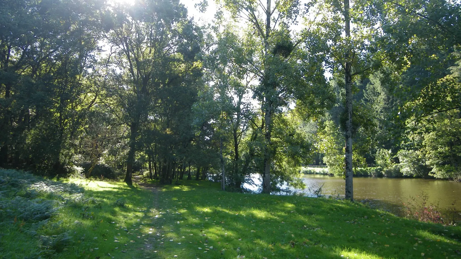 circuit chemin royal getigné (4)