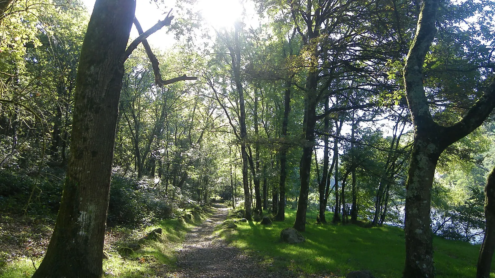 circuit chemin royal getigné (5)