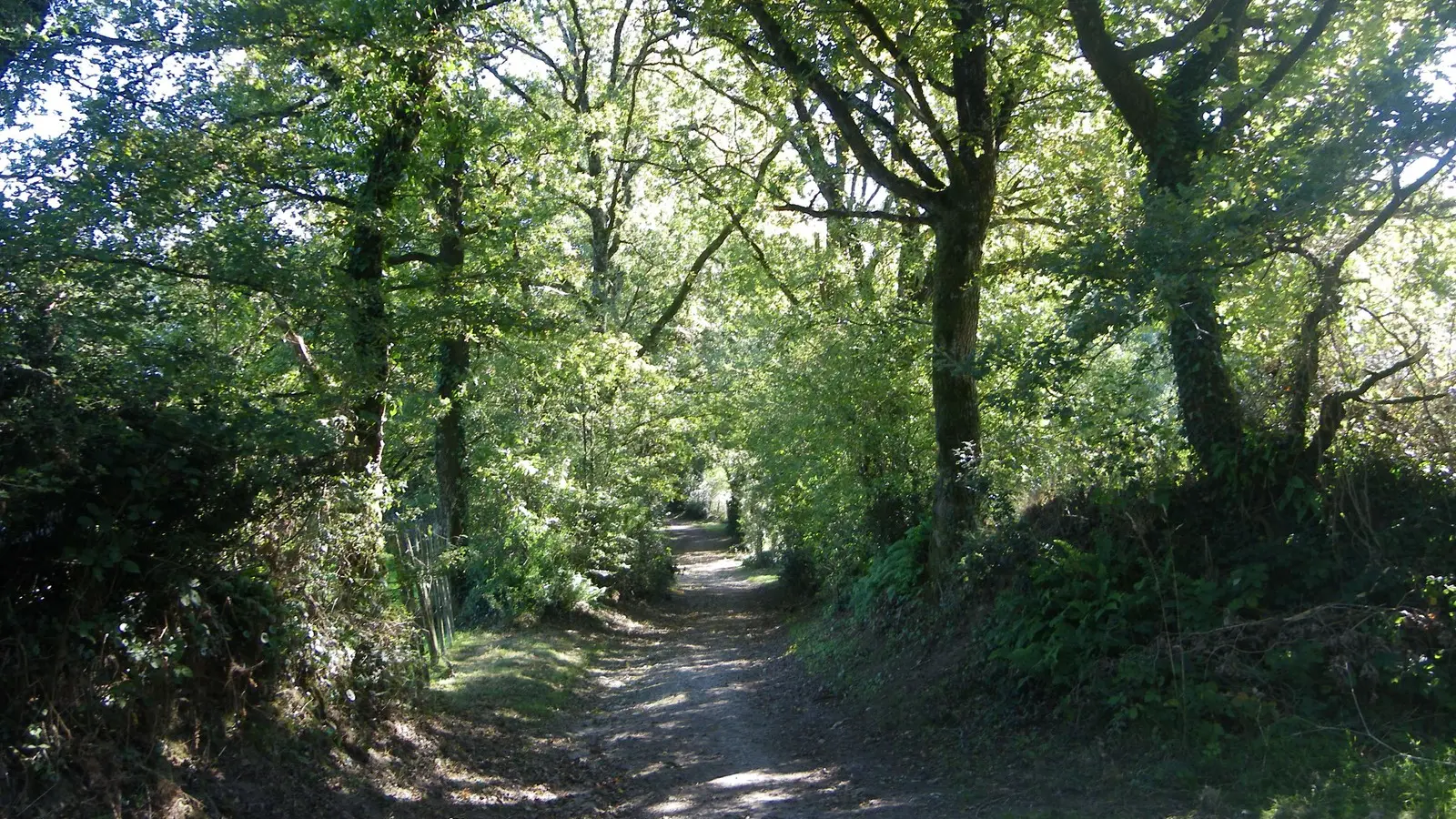 circuit chemin royal getigné (3)