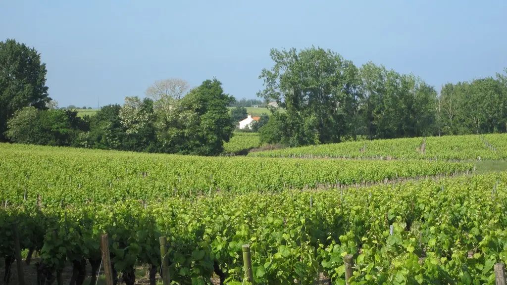 circuit-coteaux-vallet-levignoblenantes-tourisme (2)