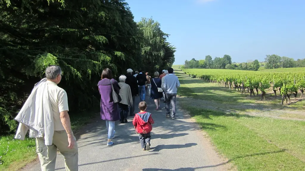 circuit-coteaux-vallet-levignoblenantes-tourisme (3)