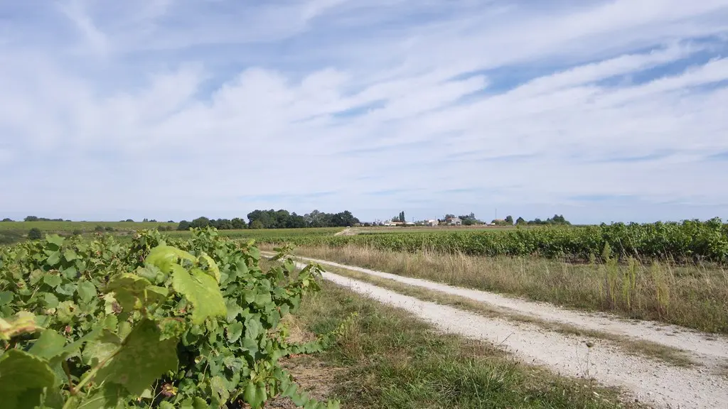 circuit-coteaux-vallet-levignoblenantes-tourisme (4)